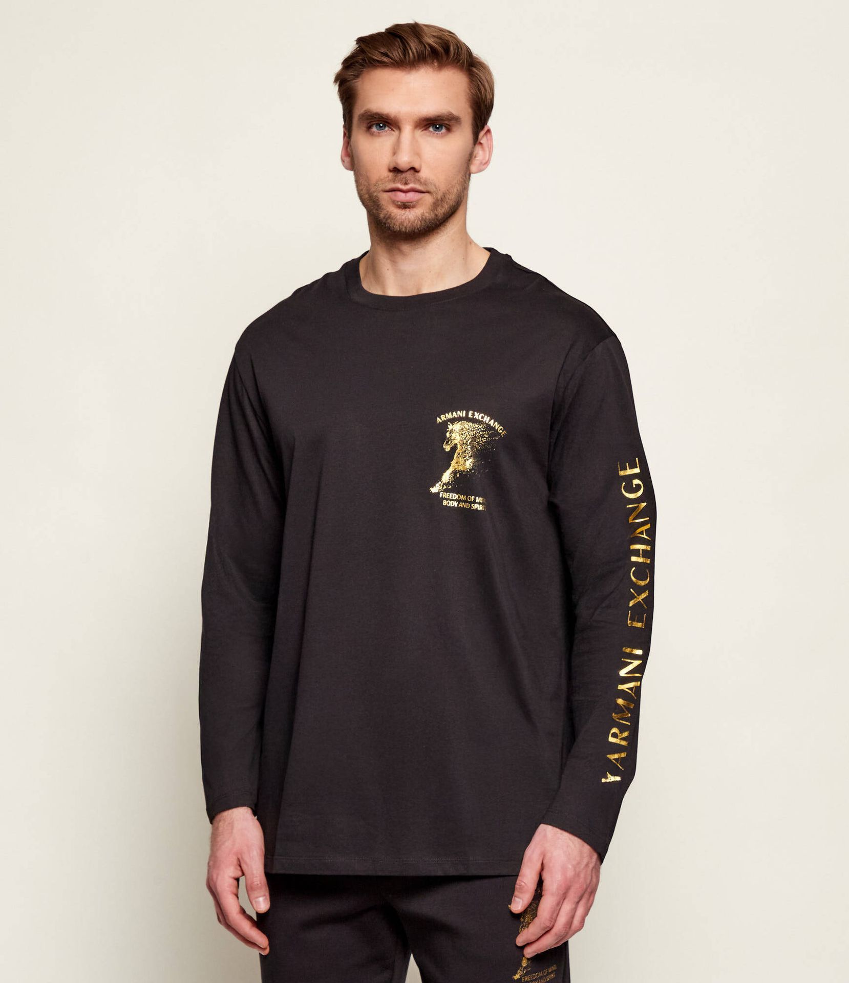 Armani Exchange Longsleeve Regular Fit