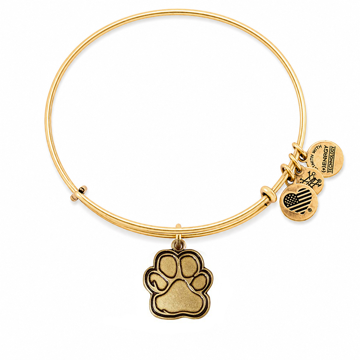 JEWELER'S ALEX AND ANI CBD14POLRG. Bransoletka, Kolor złoty. Kobieta.