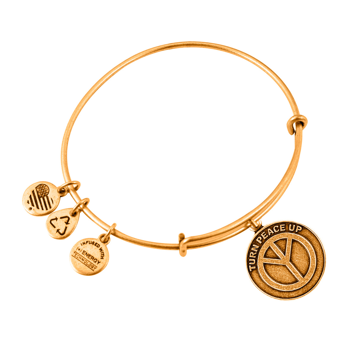 JEWELER'S ALEX AND ANI A12EB11RG. Bransoletka, Kolor złoty. Kobieta.