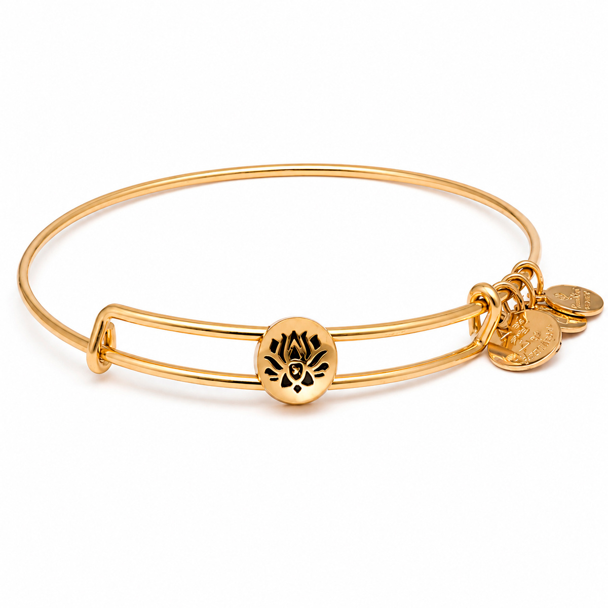 JEWELER'S ALEX AND ANI SSEWB10G. Bransoletka, Kolor złoty. Kobieta.
