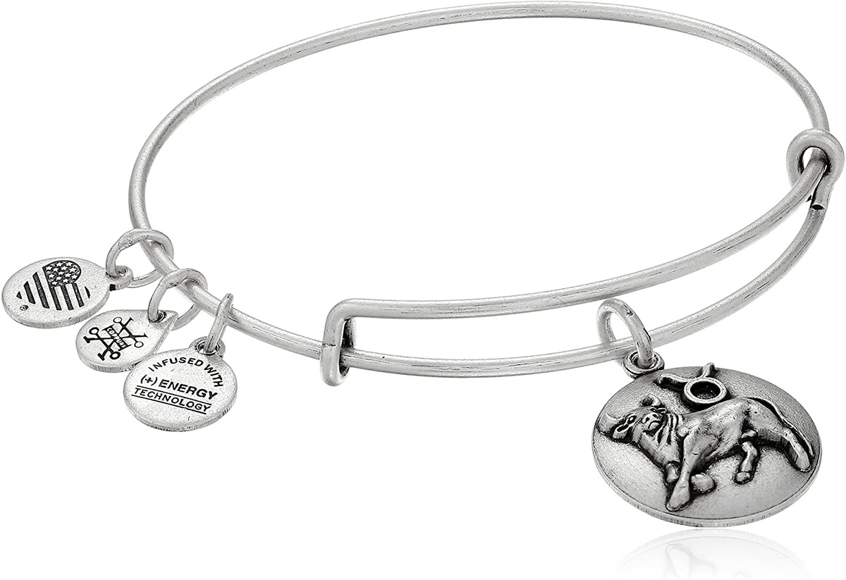 JEWELER'S ALEX AND ANI A16EB59RS. Bransoletka, Kolor srebrny. Kobieta.