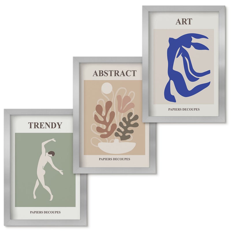 Zestaw obrazów w ramie - 3 części Stylowe postacie i rośliny postery Henri Matisse Srebrna ramka