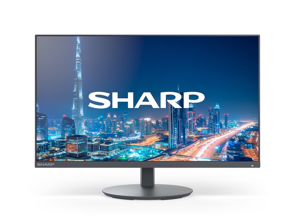 Sharp MultiSync E224F 22