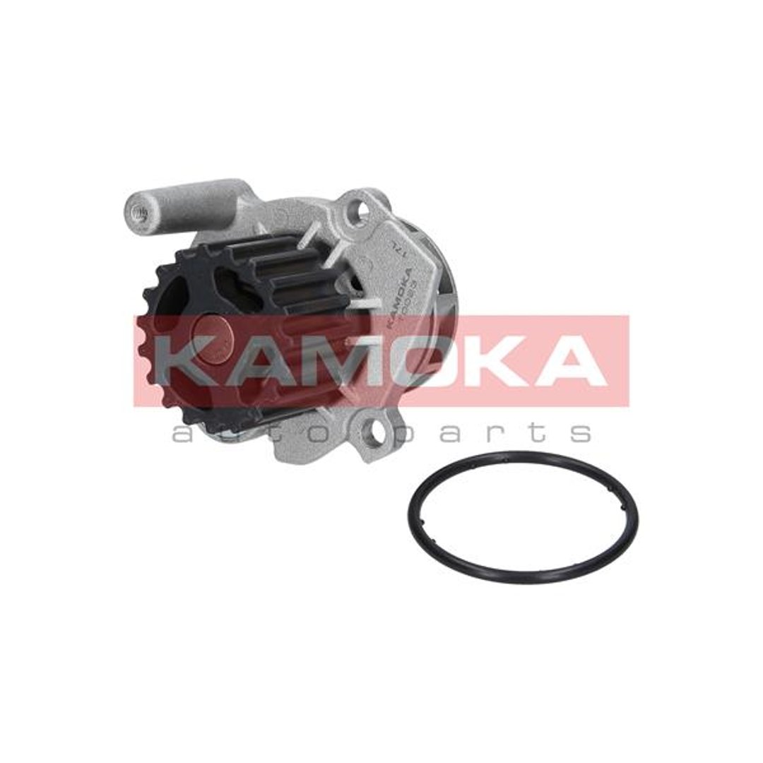 Pompa wody KAMOKA T0023