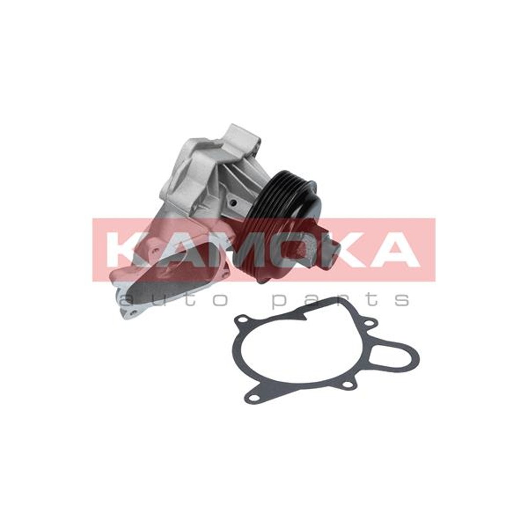 Pompa wody KAMOKA T0060