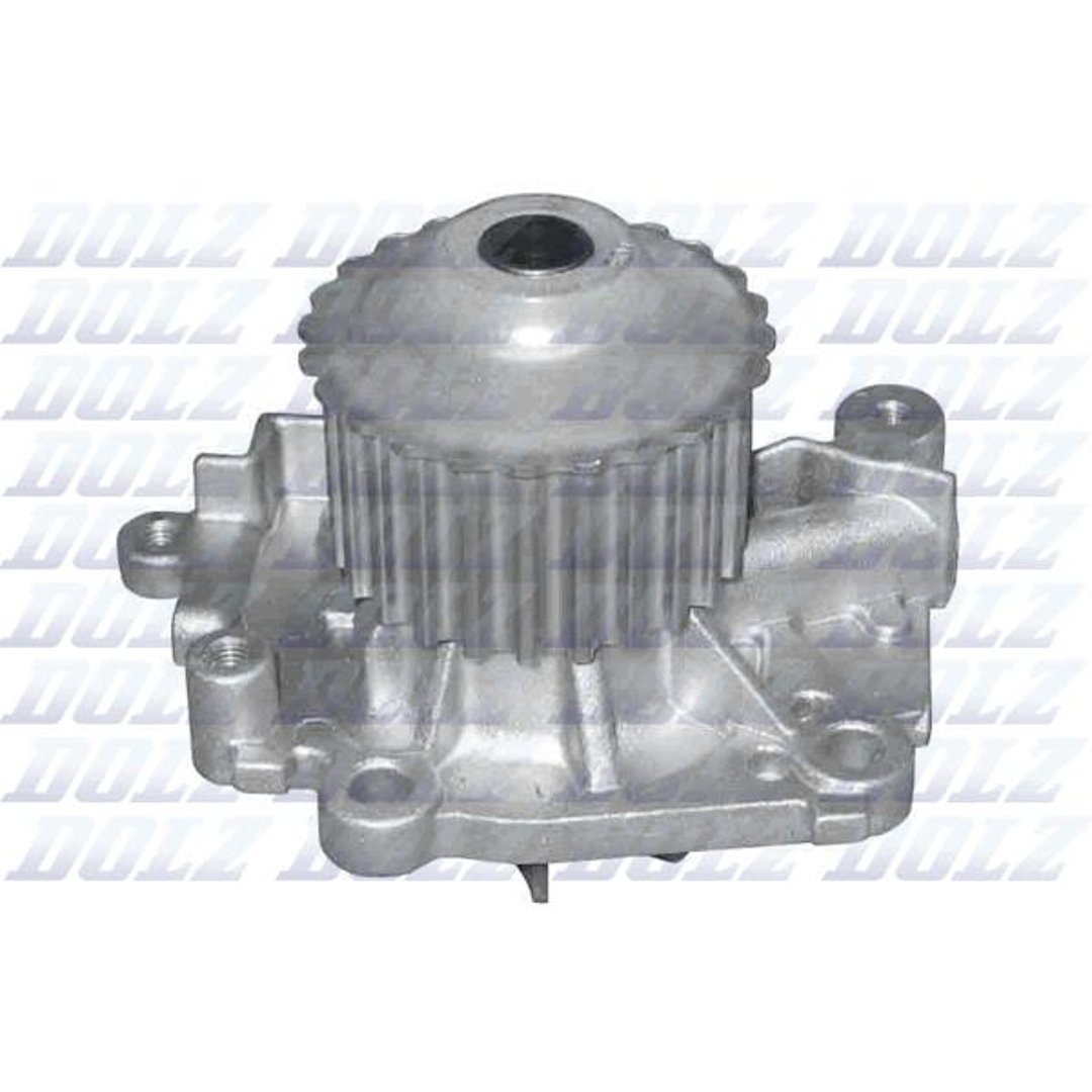 Dolz INDUSTRIAS Pompa wodna INDUSTRIAS R301