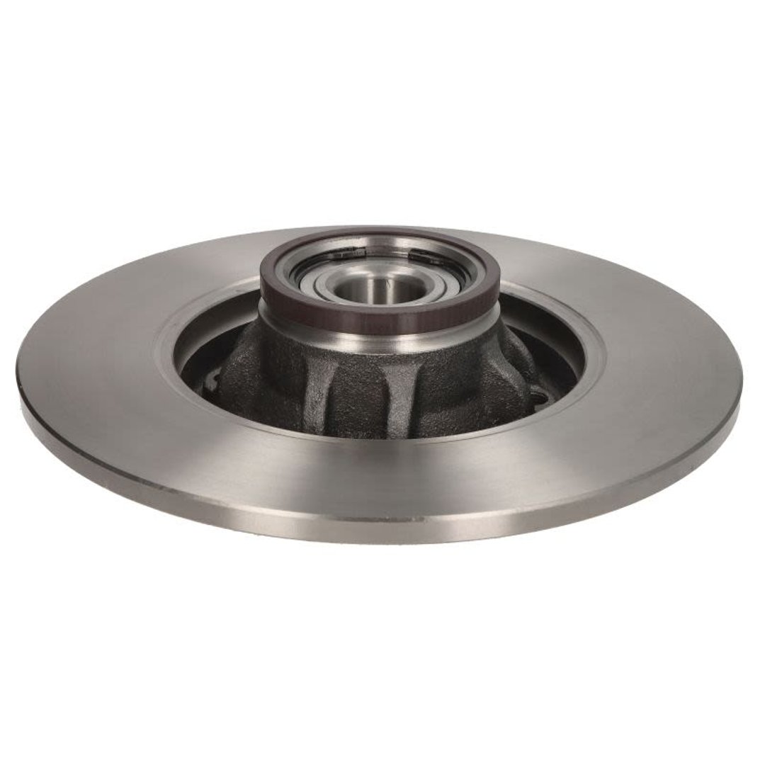 SKF Tarcze hamulcowe (komplet 2 sztuk) VKBD 1017