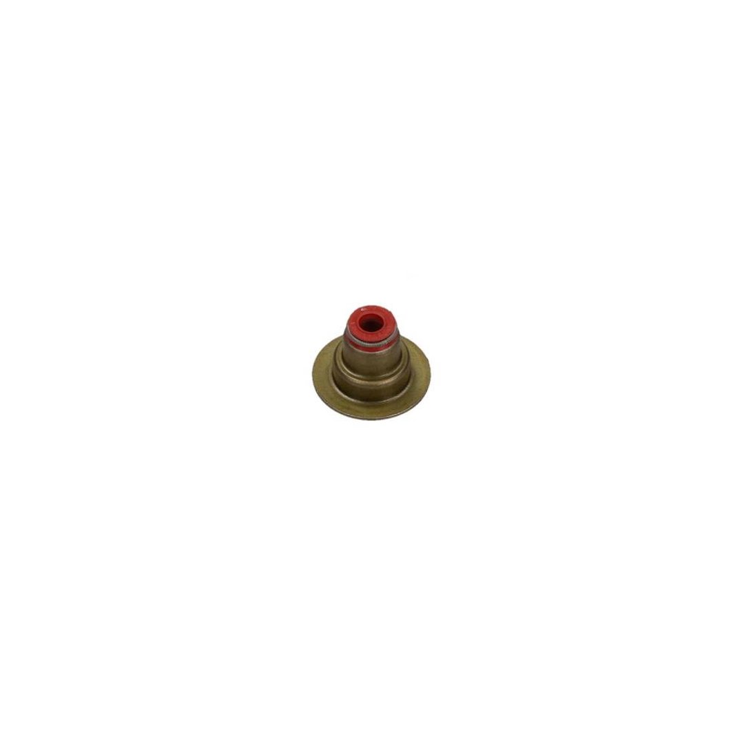 REINZ Uszczelniacz, trzonek zaworu 70-36613-00
