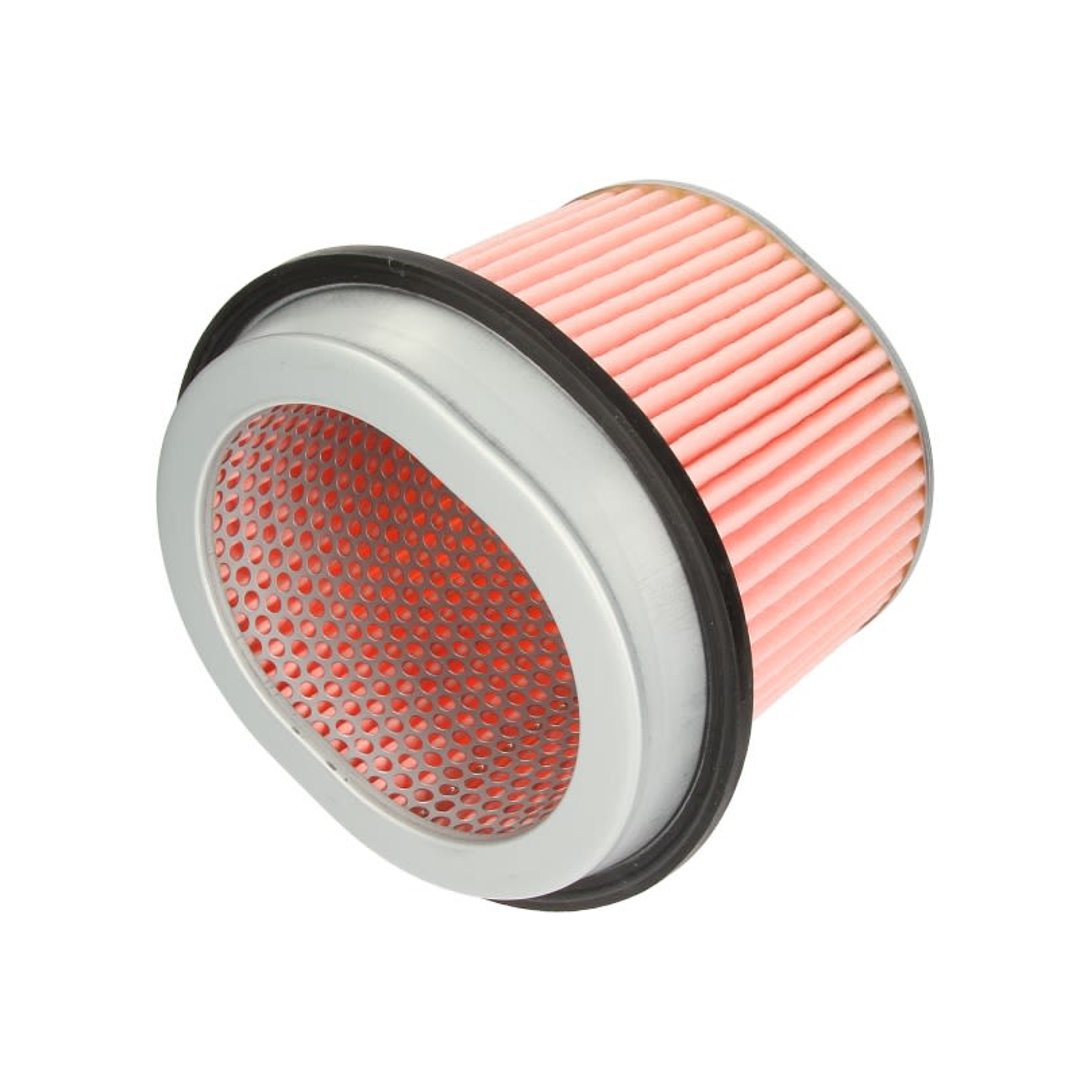 Filtron AM 433 FILTR POWIETRZA