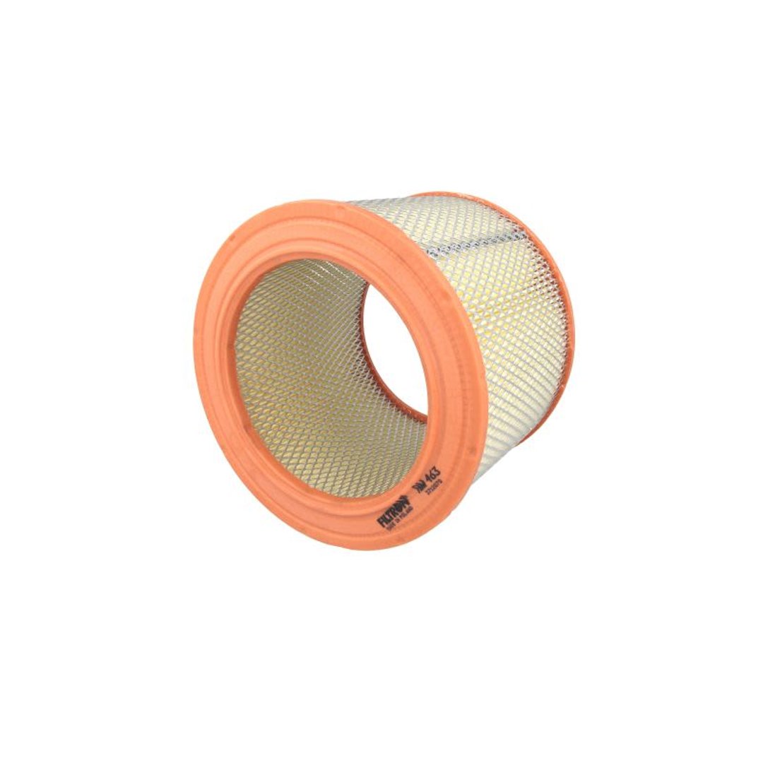 Filtron Filtr powietrza am463 AM463