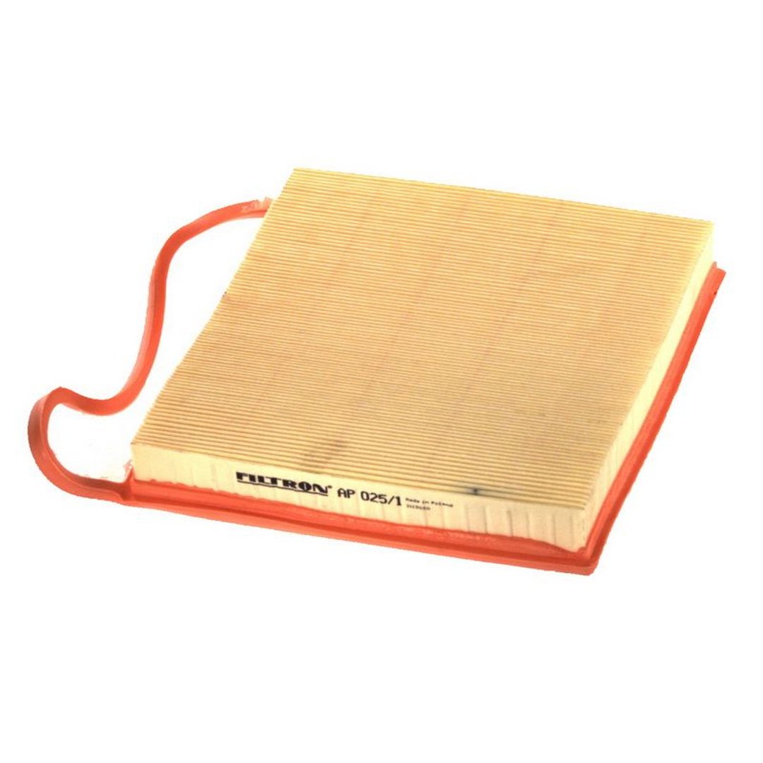Filtron AP 025/1 FILTR POWIETRZA