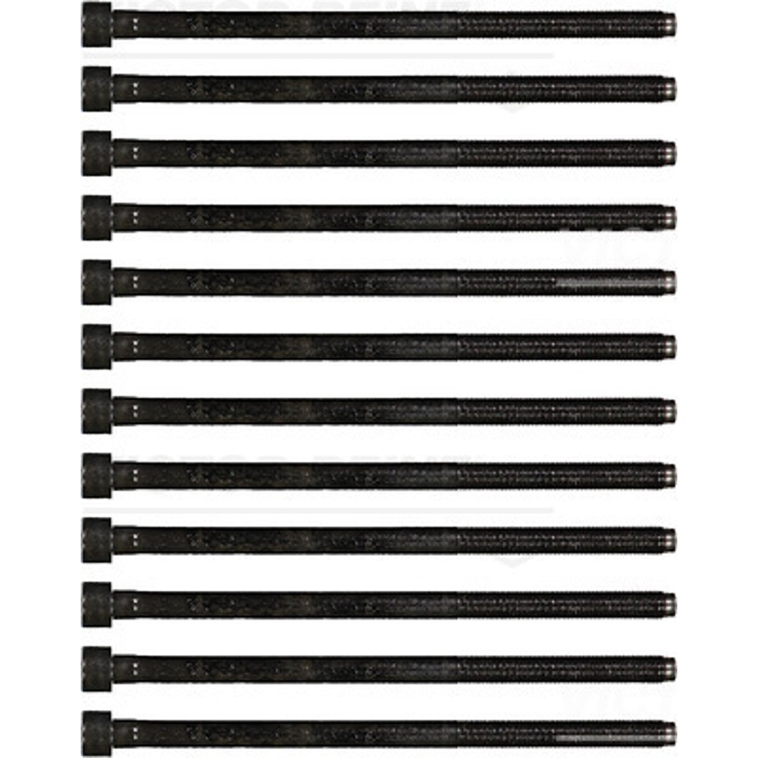 REINZ Zestaw żrub głowicy cylindrów 14-35779-01