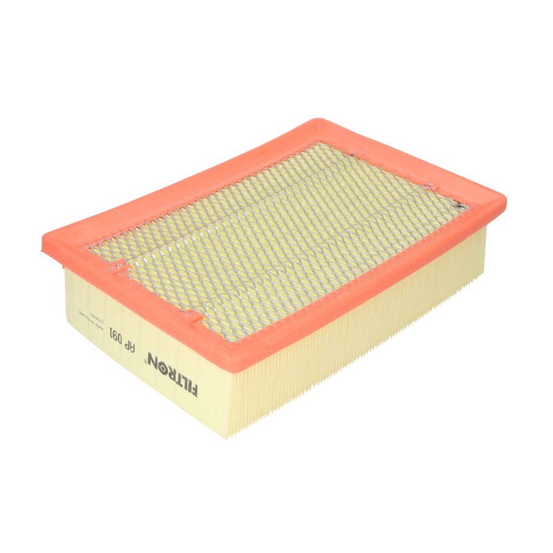 Filtron AP 091 FILTR POWIETRZA