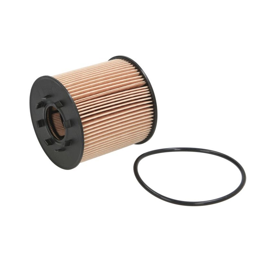 Filtron Filtr oleju OE666/2