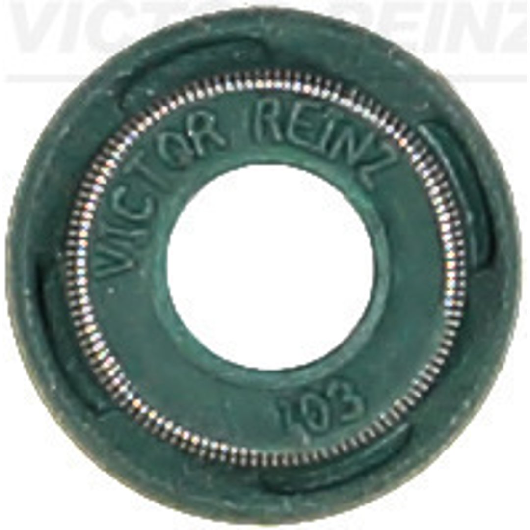REINZ VICTOR Uszczelniacz, trzonek zaworu VICTOR 70-53991-00