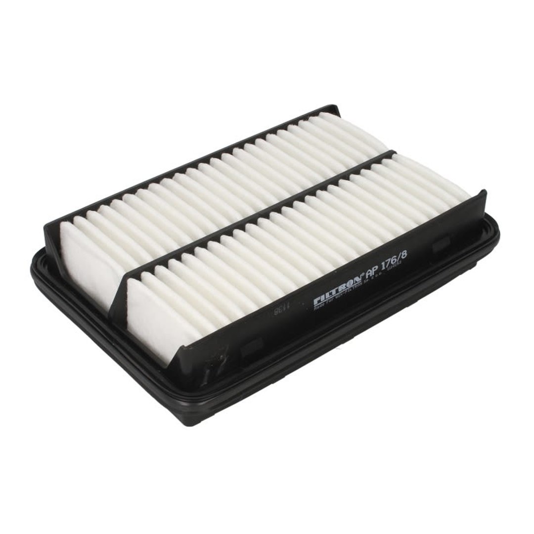 Filtron AP 176/8