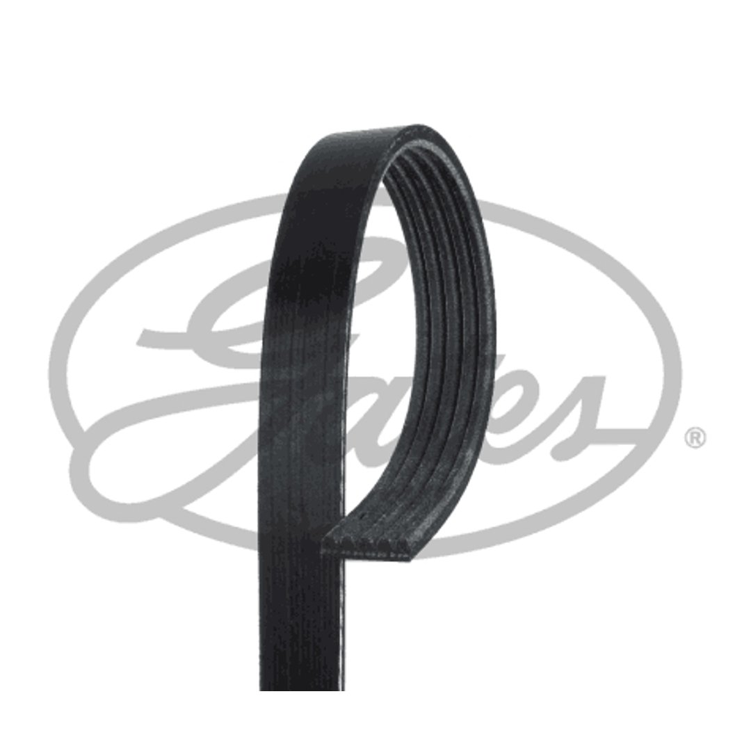 GATES Pasek wielorowkowy GATES 5PK1138
