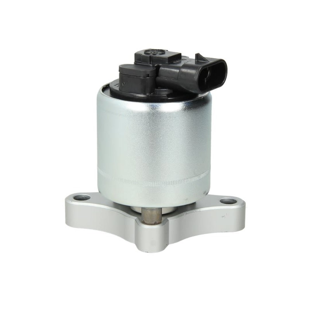 DELPHI Zawr EGR EG10003-12B1