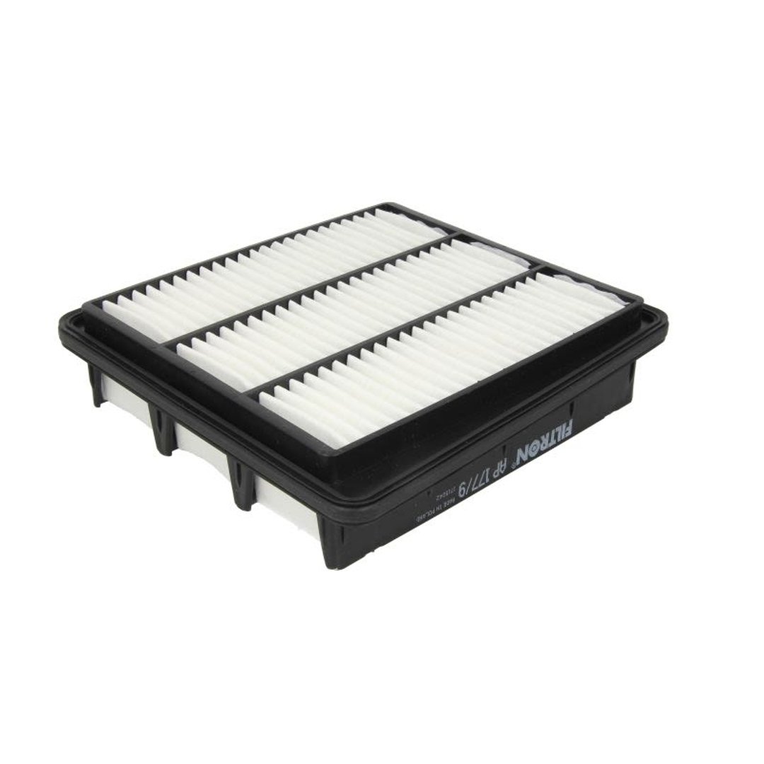 Filtron AP 177/9 - Filtr powietrza Hyundai Grandeur, Sonata V 3.3i 06/05-> -