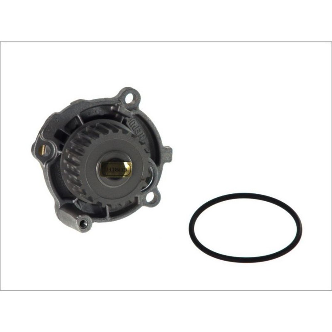 HEPU Pompa wody P545