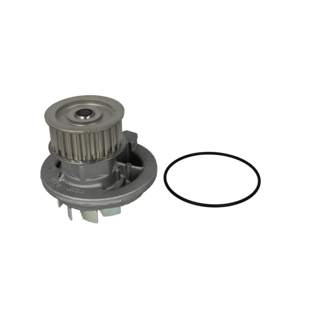 HEPU Pompa wody P316