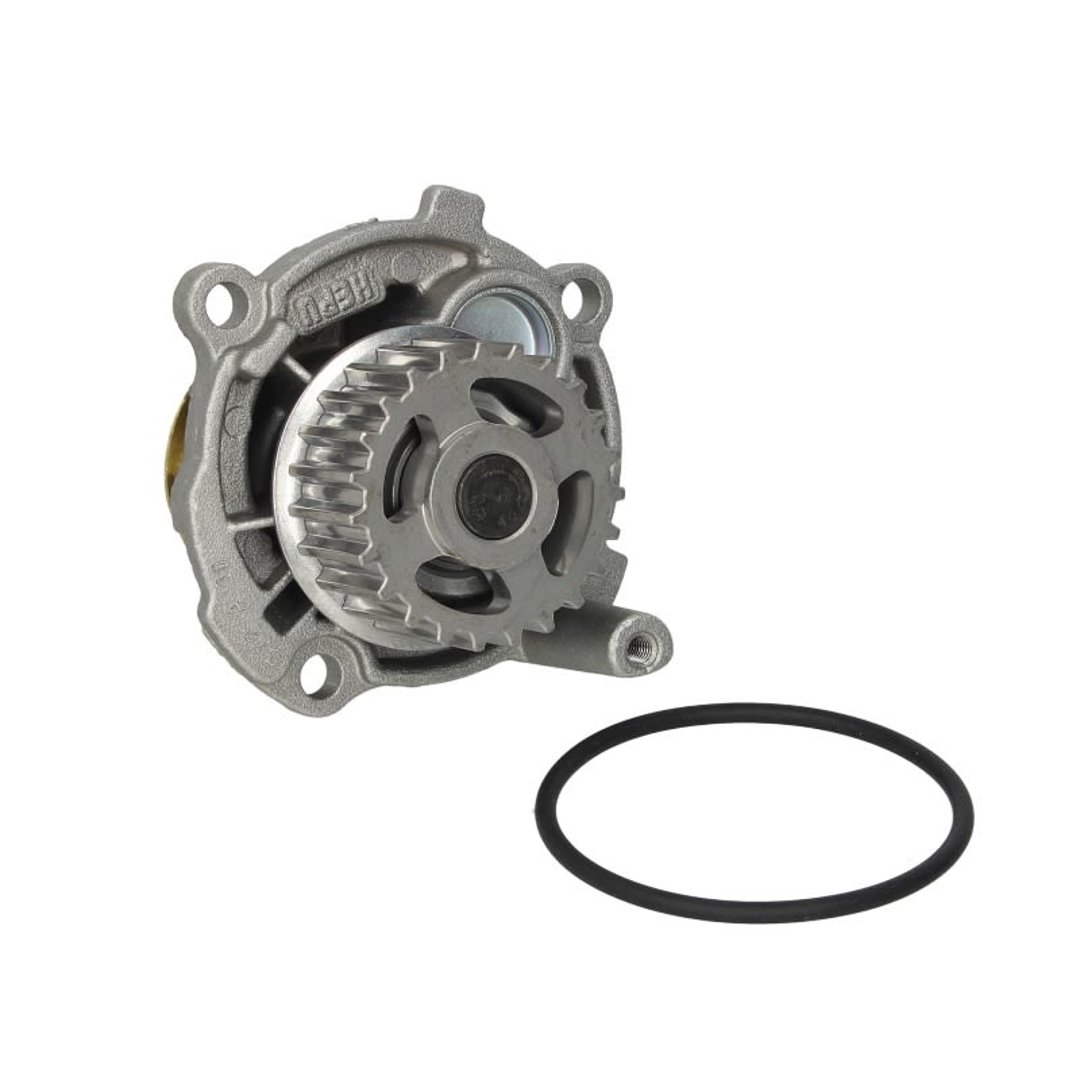 HEPU Pompa wody P572