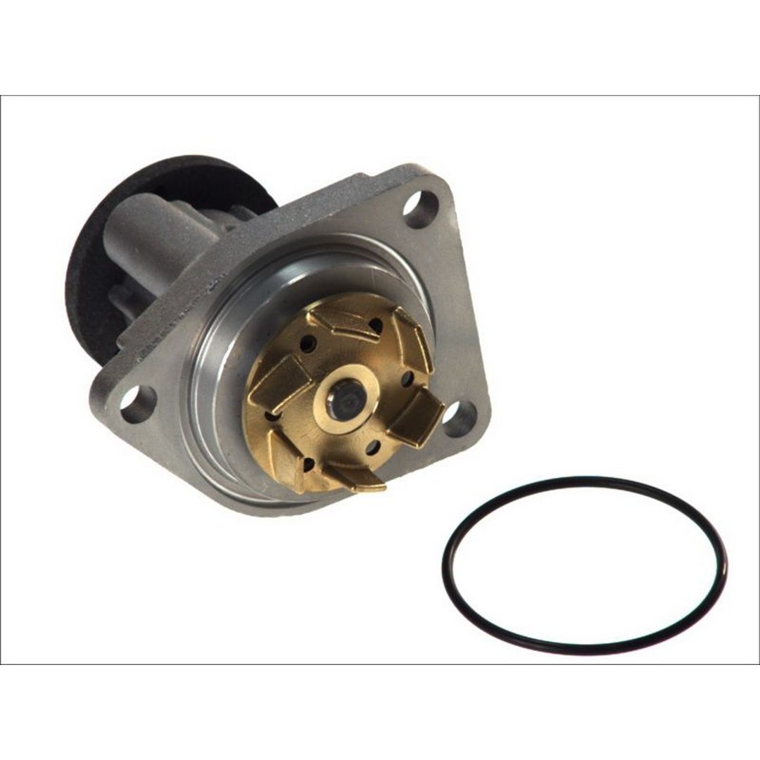 HEPU Pompa wody P320