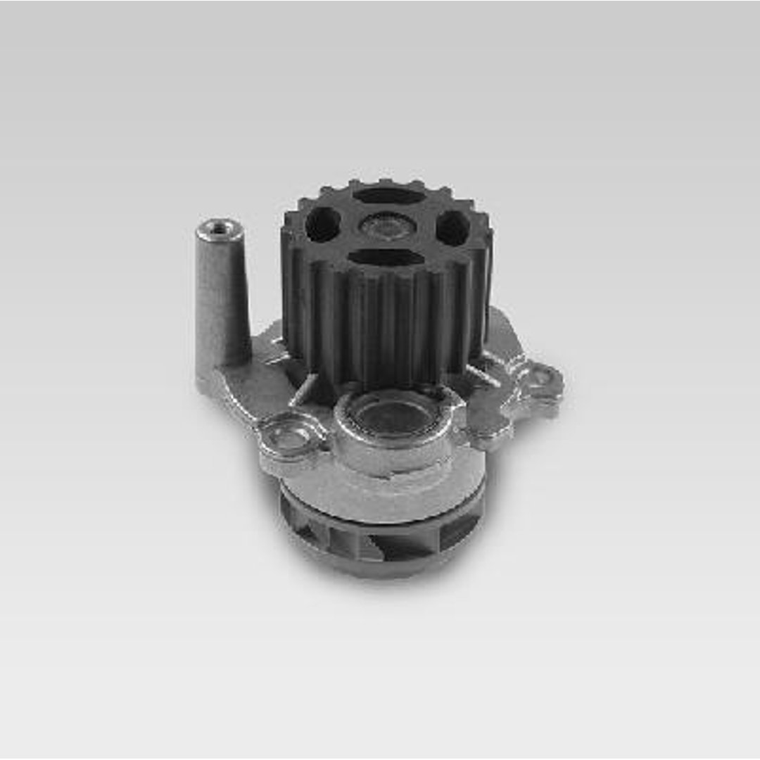 HEPU Pompa wody P554