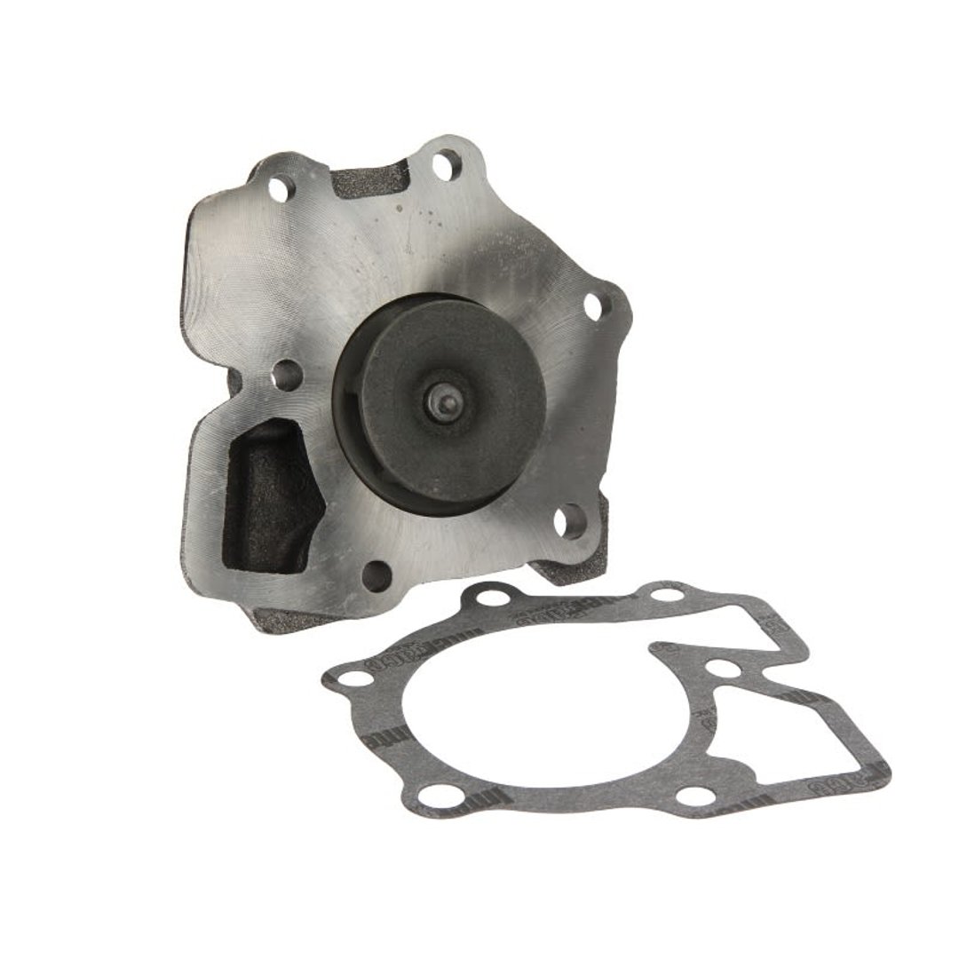 HEPU Pompa wodna P202