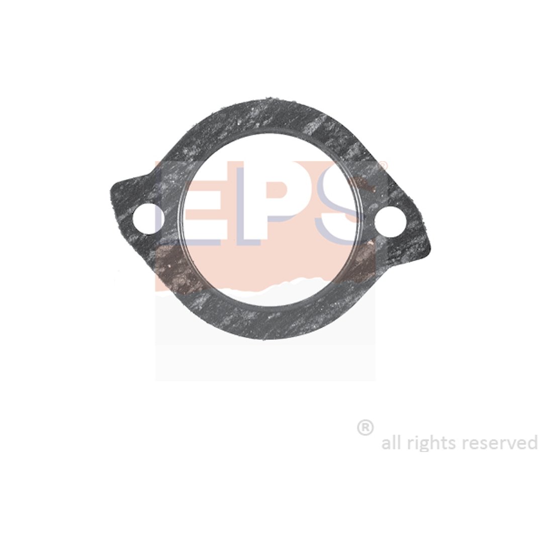 Uszczelka termostatu EPS 1.890.520
