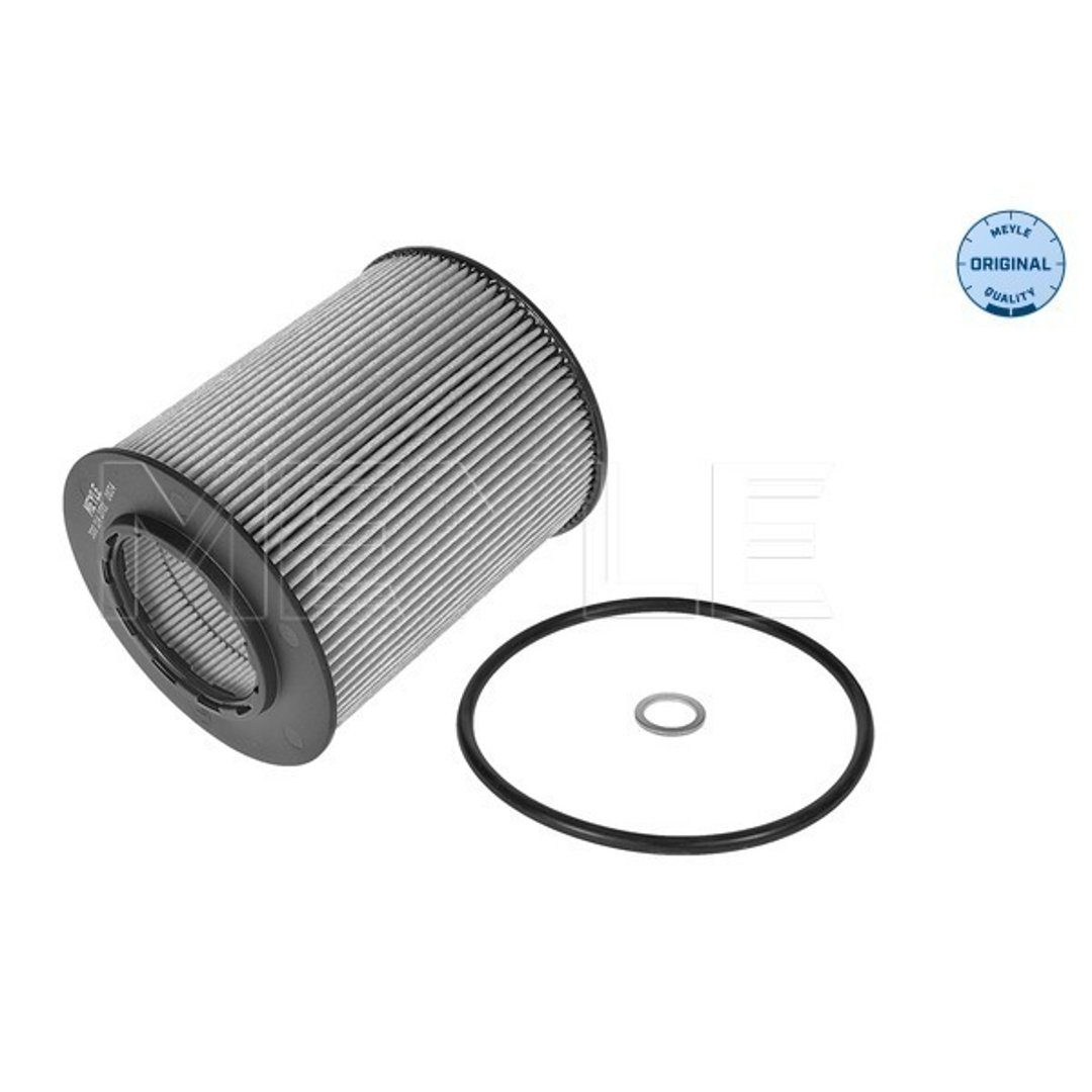 Wulf Gaertner Autoparts Filtr oleju Wulf Gaertner Autoparts 300 114 2701
