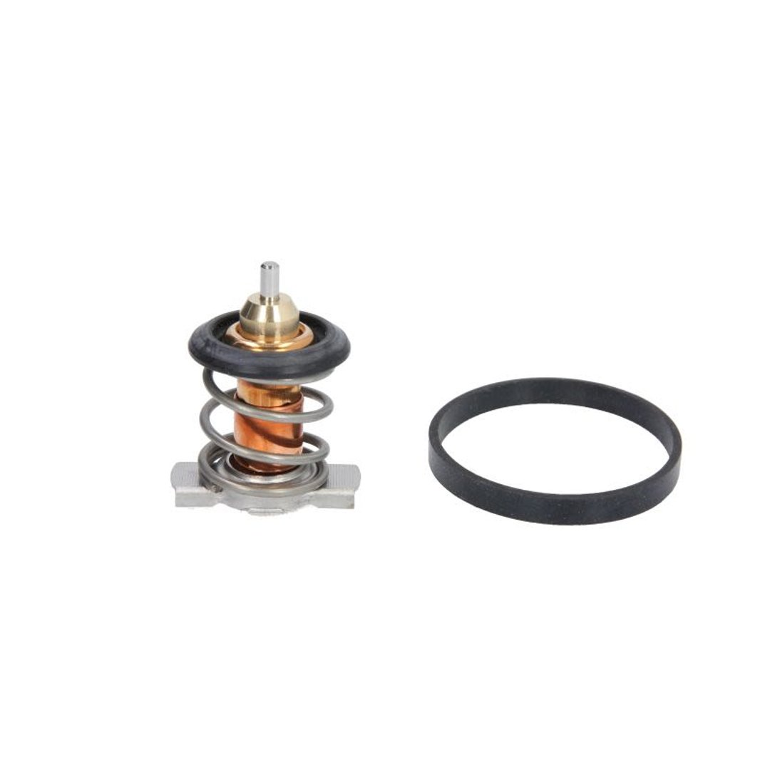 Termostat CALORSTAT BY VERNET TH9200.88J
