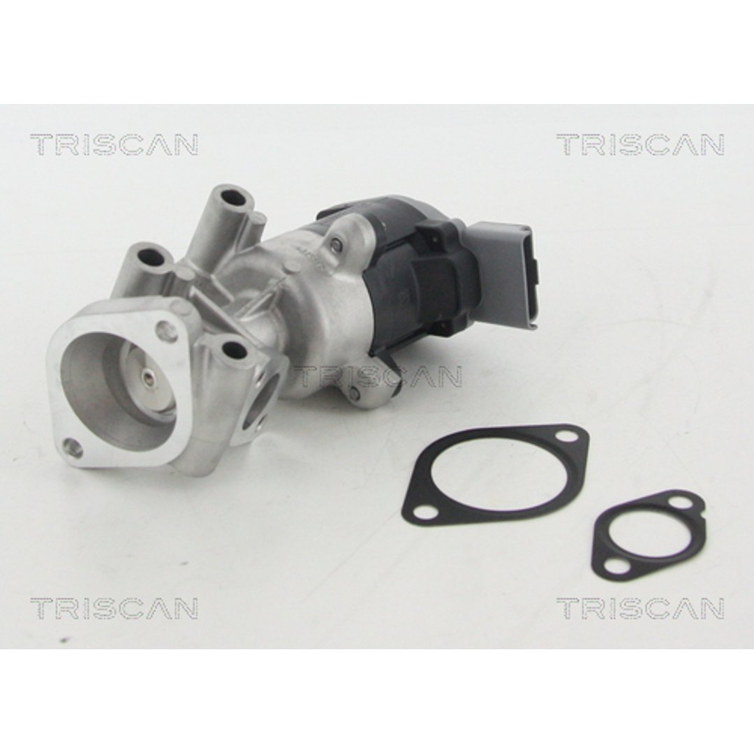 Triscan Zawór EGR  triscan 8813 10009 8813 10009