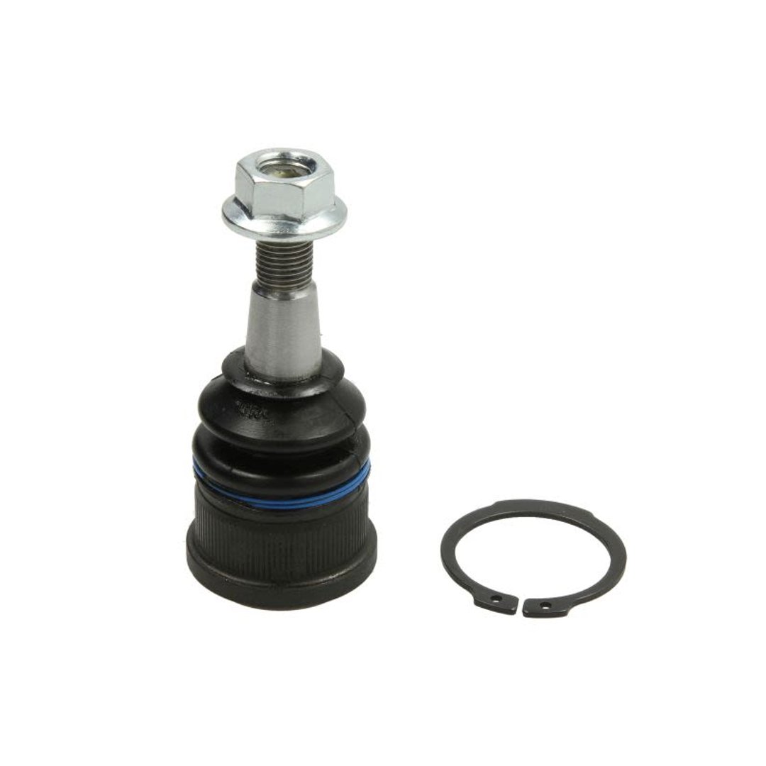Wulf Gaertner Autoparts Przegub mocujący / prowadzący Wulf Gaertner Autoparts 44-16 010 0004