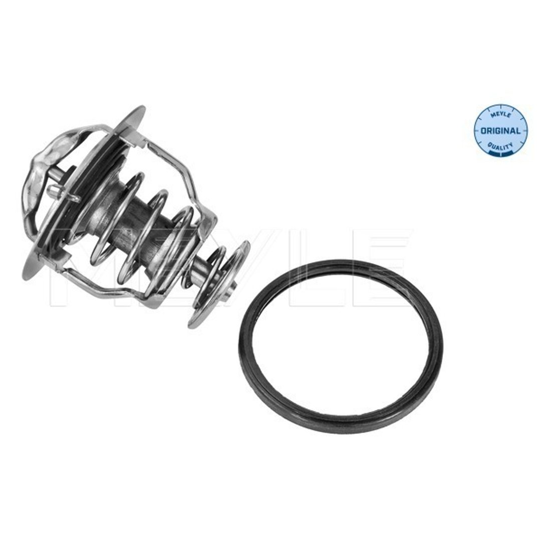 Wulf Gaertner Autoparts Termostat, środek chłodzący Wulf Gaertner Autoparts 028 282 0004