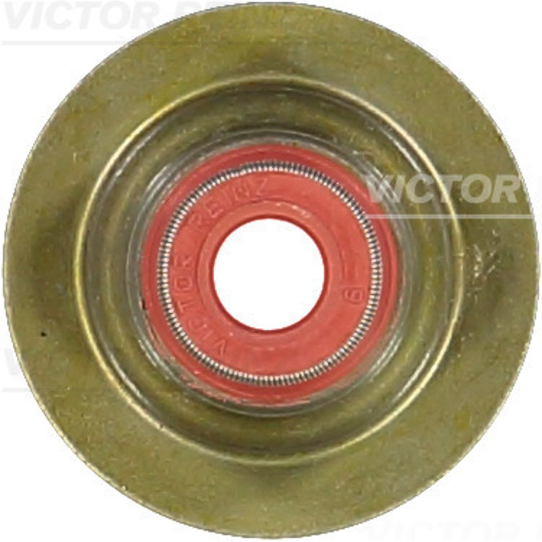 REINZ Uszczelniacz, trzonek zaworu 70-34264-00