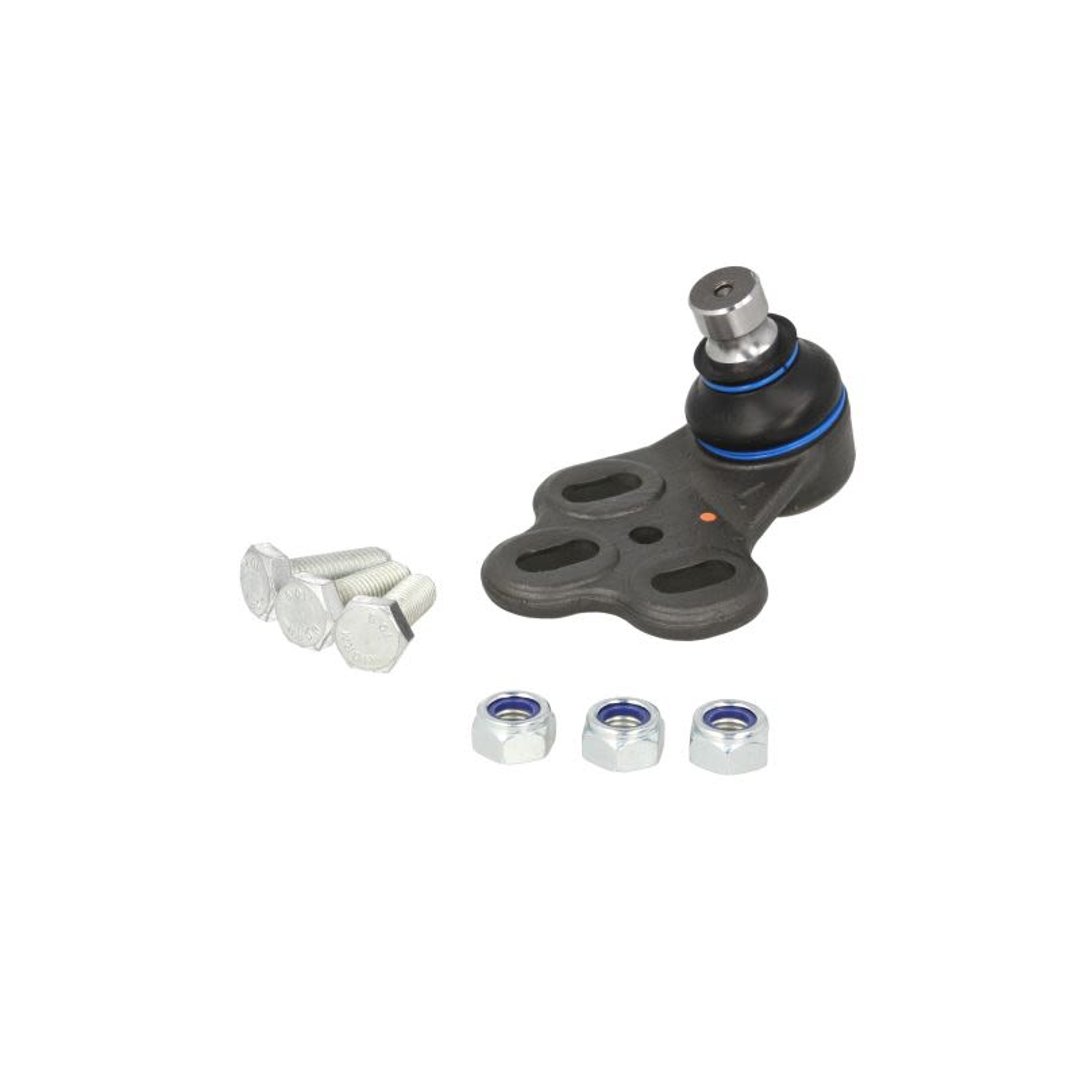 Wulf Gaertner Autoparts Przegub mocujący / prowadzący Wulf Gaertner Autoparts 116 010 7175