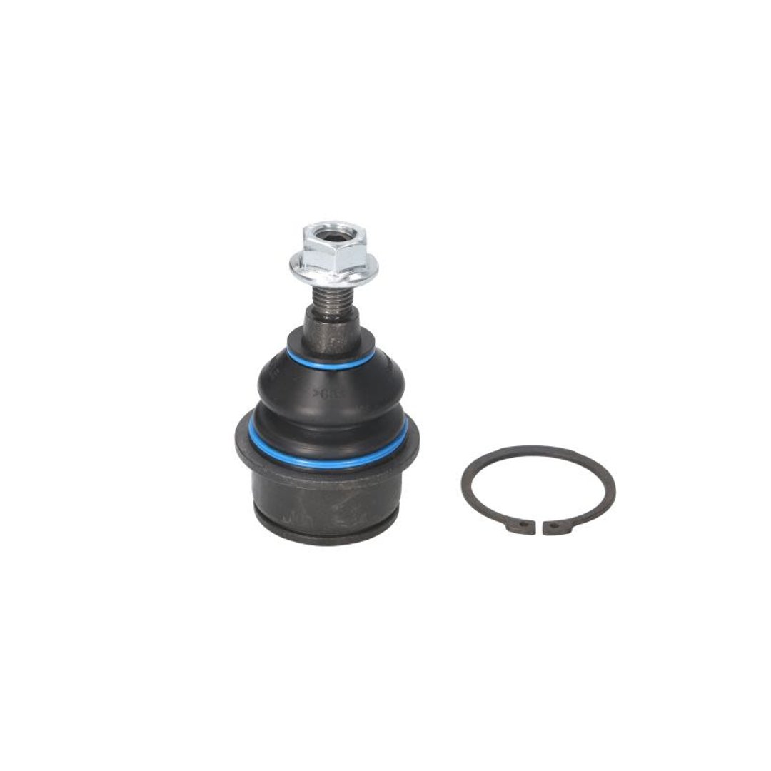 Wulf Gaertner Autoparts Przegub mocujący / prowadzący Wulf Gaertner Autoparts 216 010 0010
