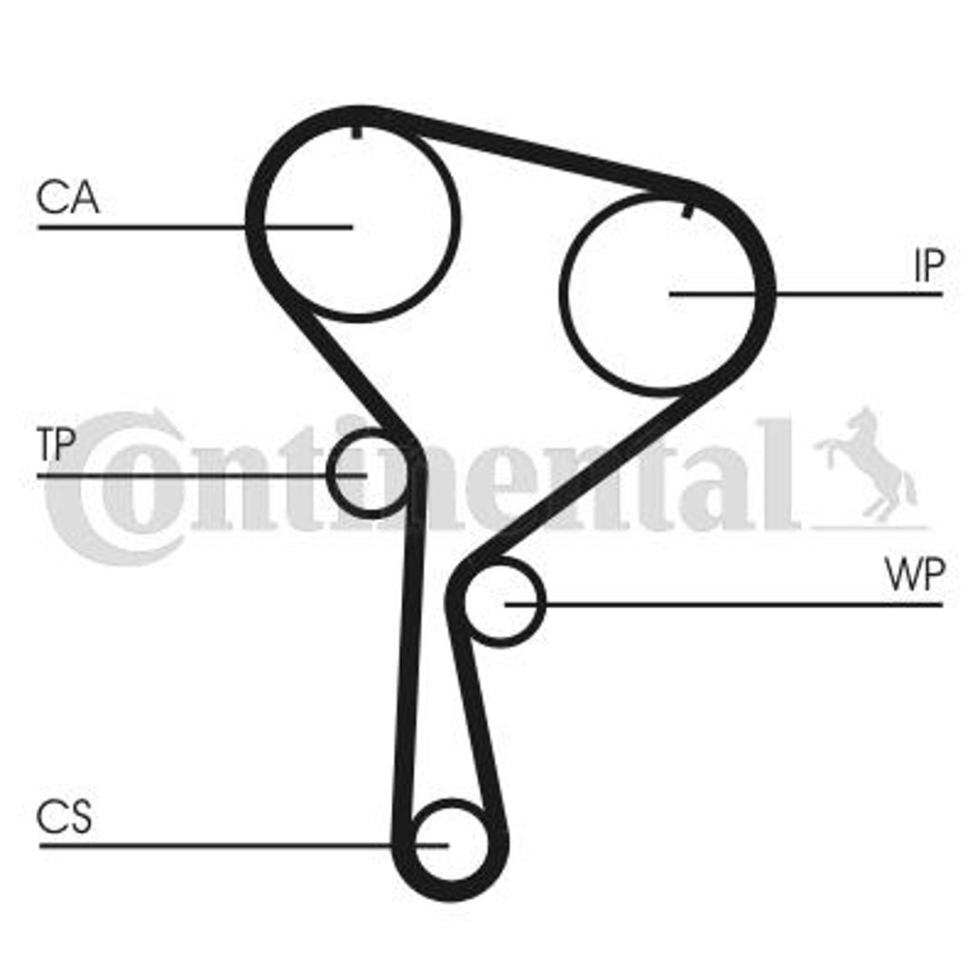 CONTITECH Zestaw paska rozrządu + pompa wody CT924WP1