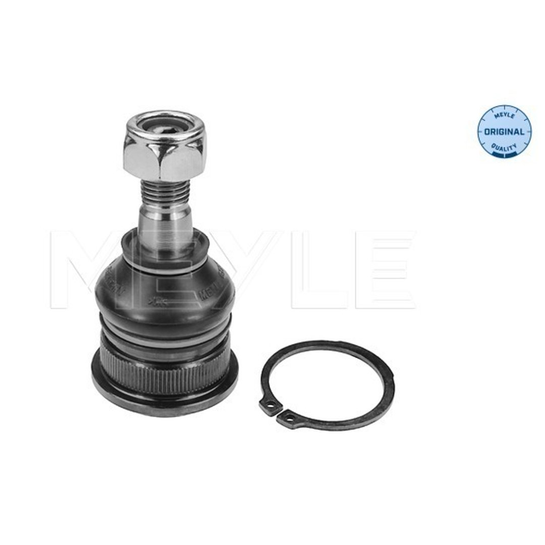 Wulf Gaertner Autoparts Przegub mocujący / prowadzący Wulf Gaertner Autoparts 36-16 010 0006