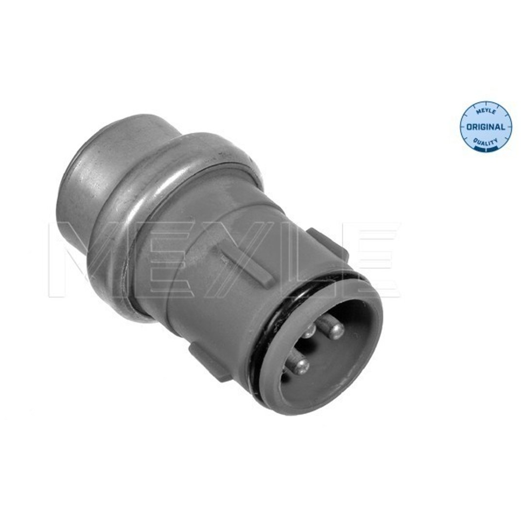 Wulf Gaertner Autoparts Czujnik, temperatura płynu chłodzącego Wulf Gaertner Autoparts 100 919 0010 100 919 0010