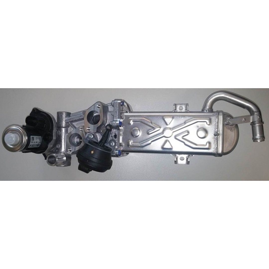 WAHLER BORGWARNER Moduł AGR BORGWARNER 710861D 710861D