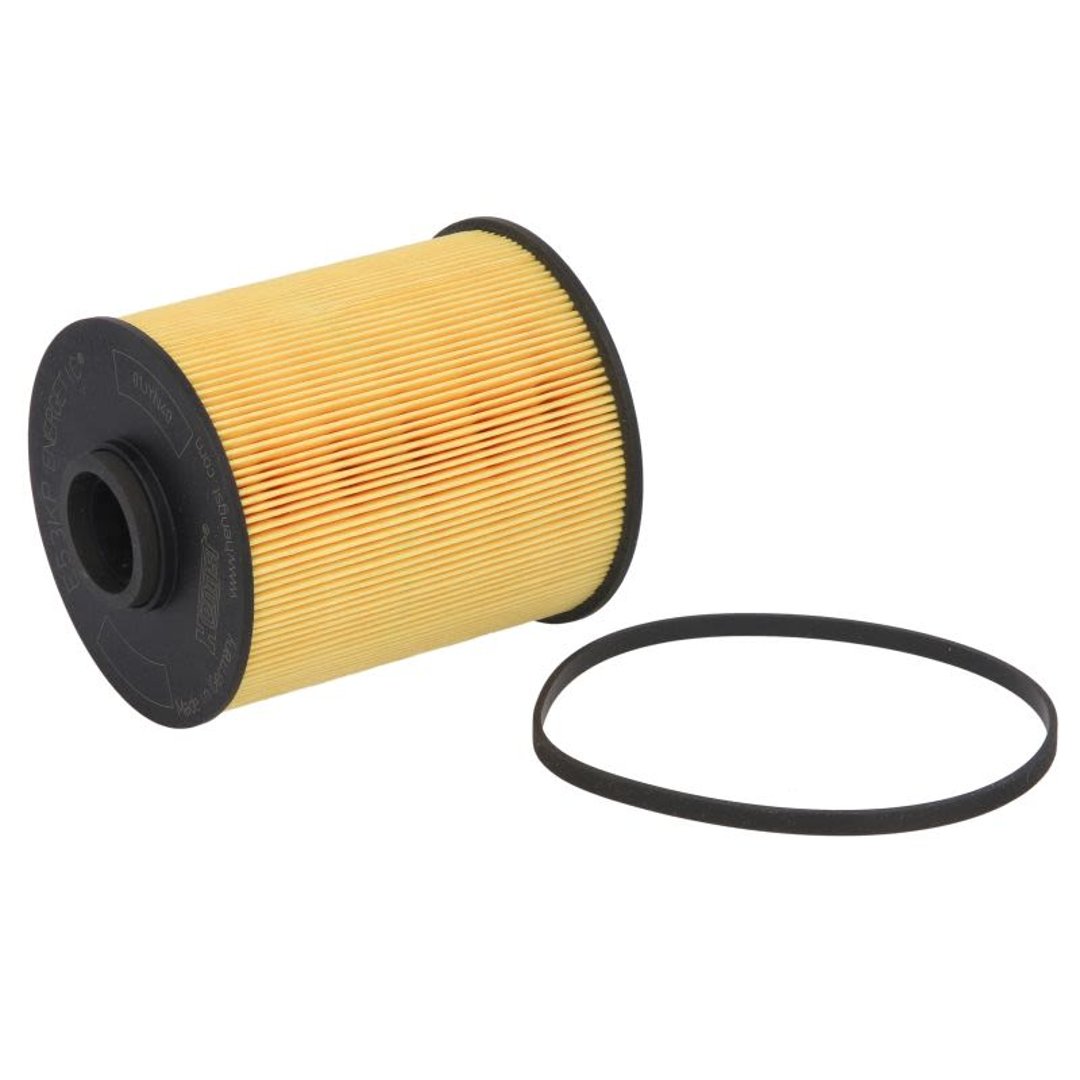 HENGST FILTER Filtr paliwa FILTER E53KP D61
