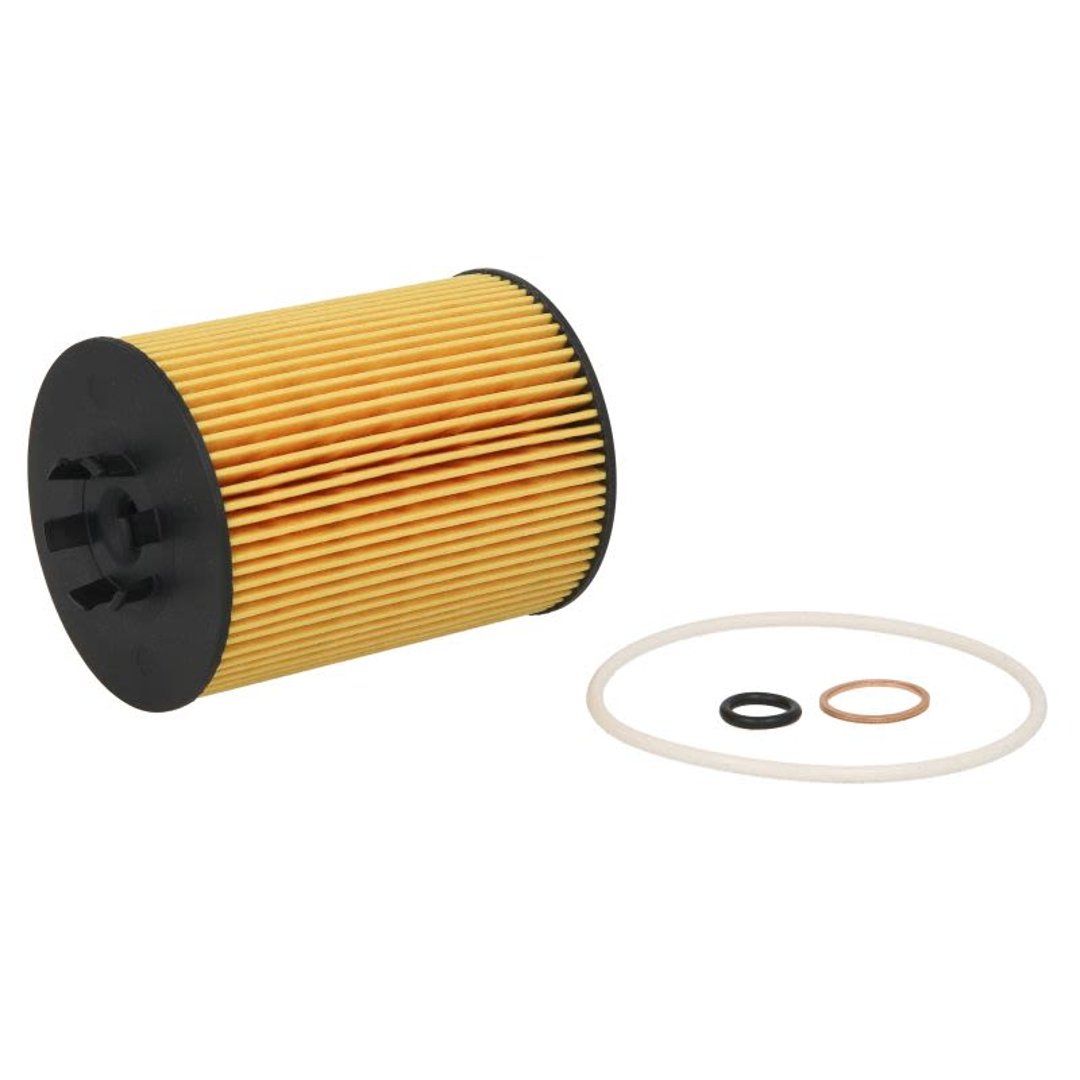 HENGST FILTER Filtr oleju E203H D67