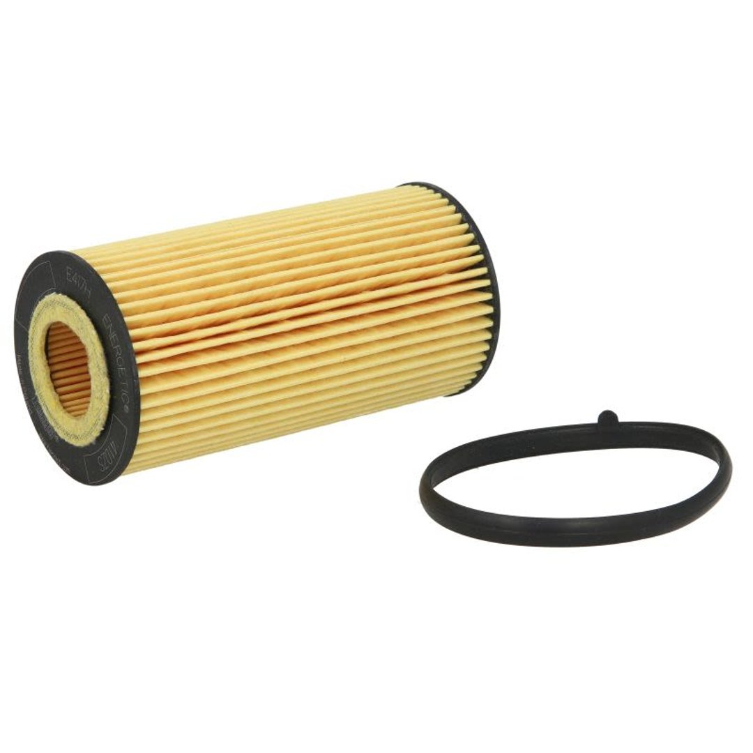 HENGST FILTER Filtr oleju FILTER E417H D125