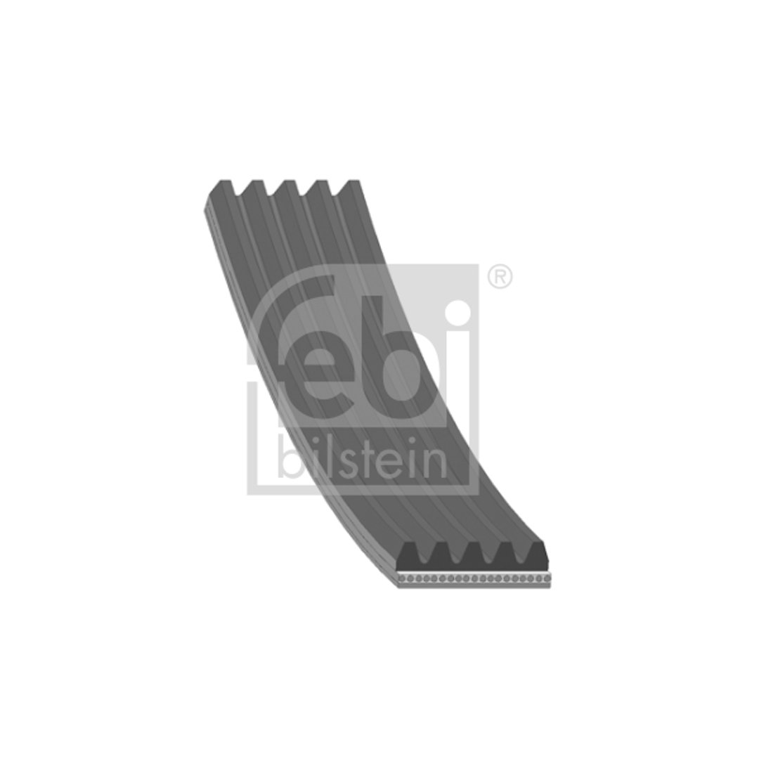 FEBI BILSTEIN 28877 pasek klinowy wielorowkowy, liczba żeber: 5, 1 sztuka 28877