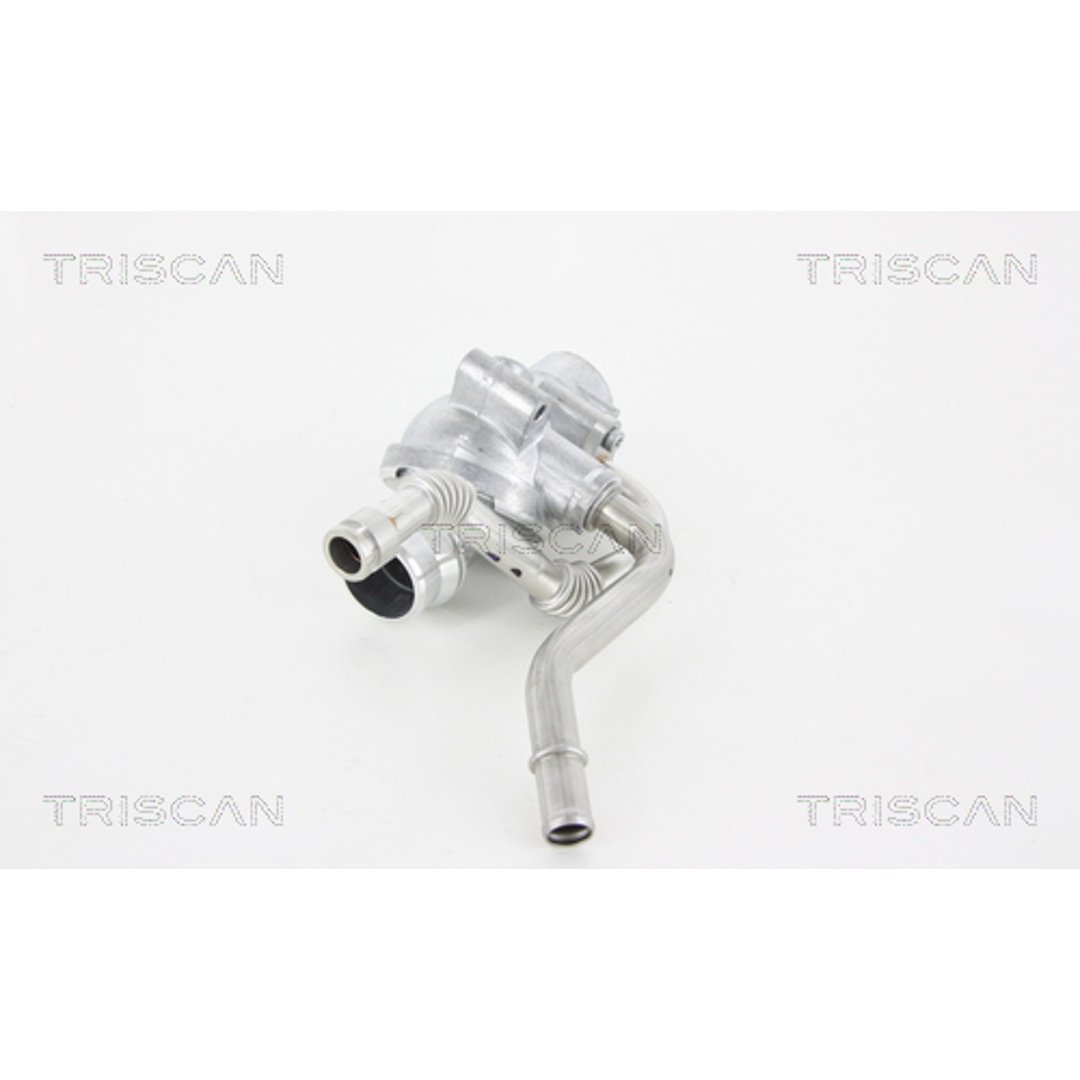 Termostat TRISCAN 8620 35900