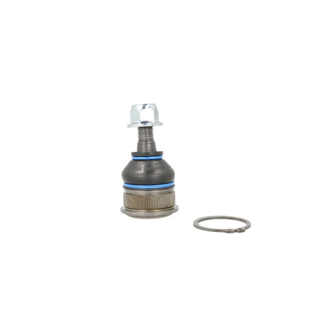 Wulf Gaertner Autoparts Przegub mocujący / prowadzący Wulf Gaertner Autoparts 016 010 0020