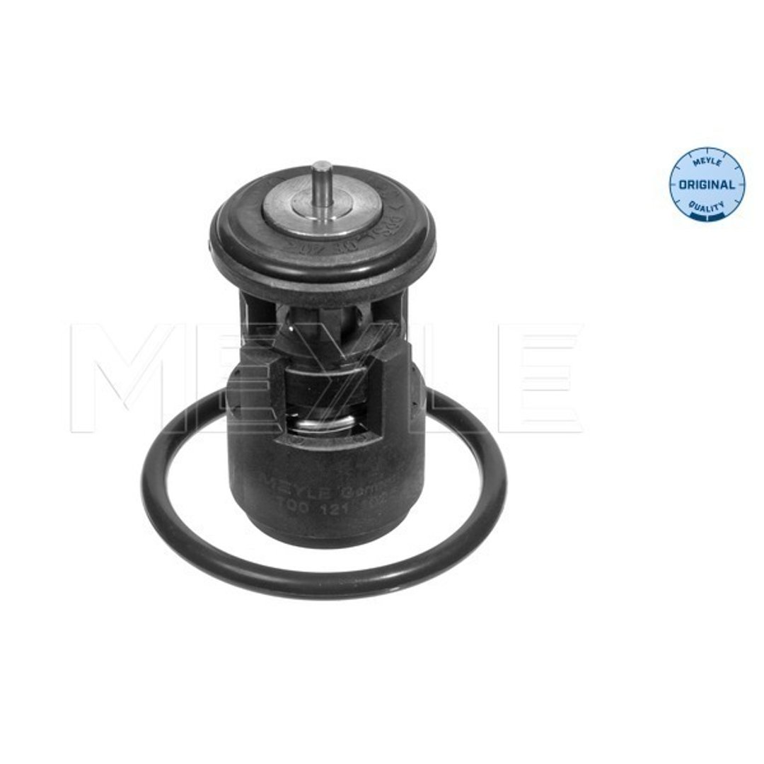 Wulf Gaertner Autoparts Termostat, środek chłodzący Wulf Gaertner Autoparts 100 121 1025