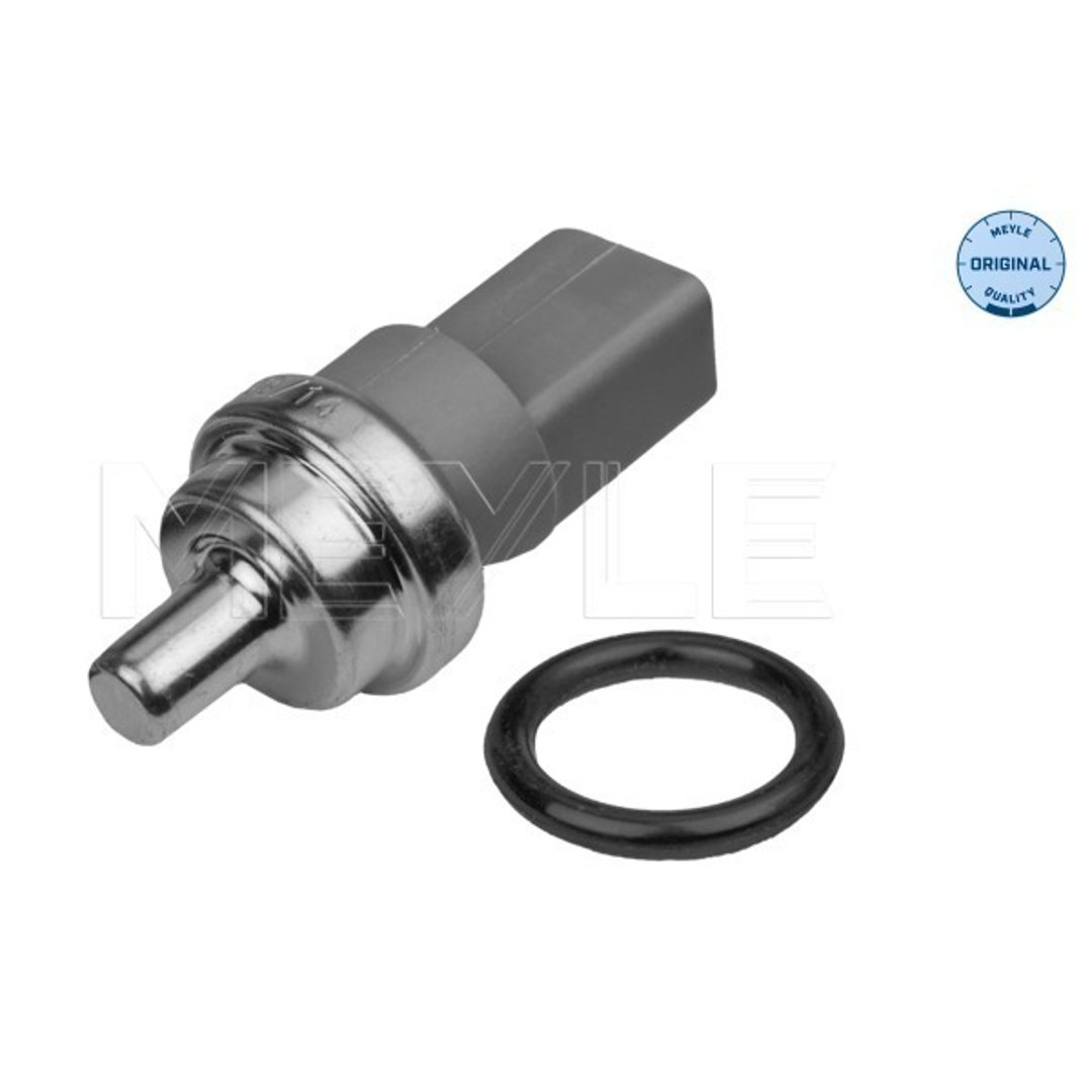 Wulf Gaertner Autoparts Czujnik, temperatura płynu chłodzącego Wulf Gaertner Autoparts 100 919 0032 100 919 0032